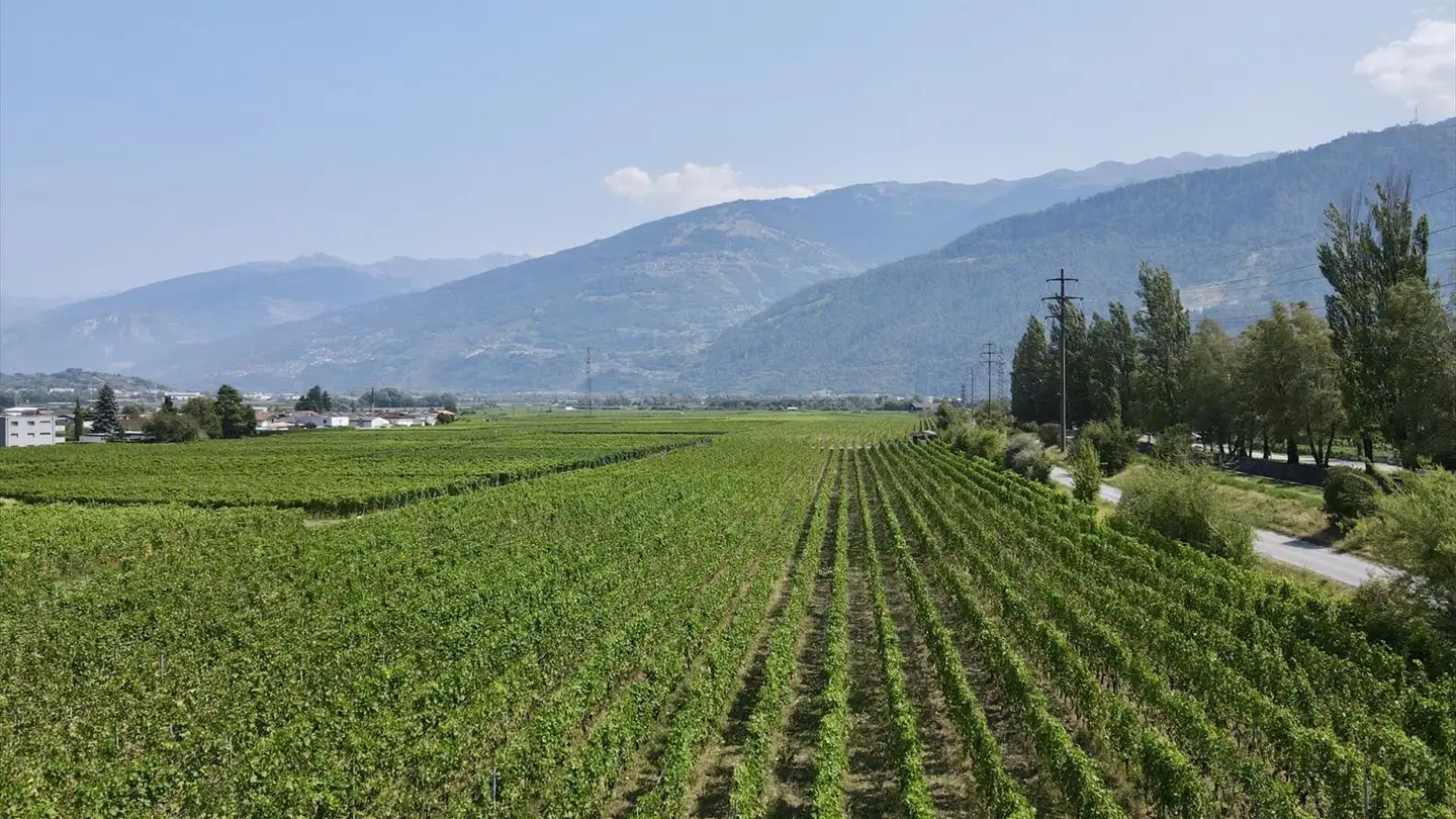 Appartamento in vendita - Route De La Lizerne 15, 1963 Vétroz - Photo 2