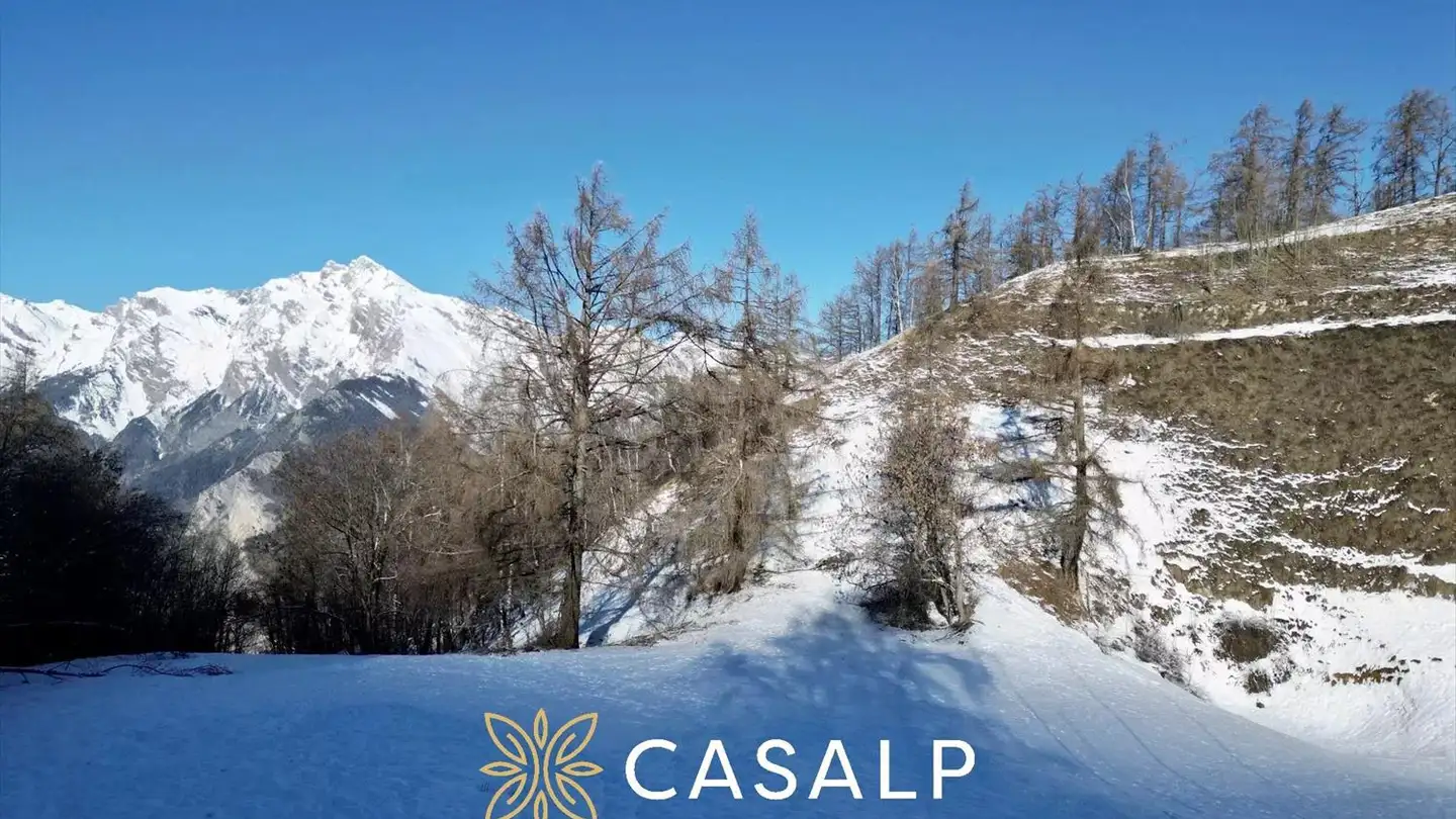 Terreno edificabile in vendita - 1997 Haute-Nendaz - Photo 4