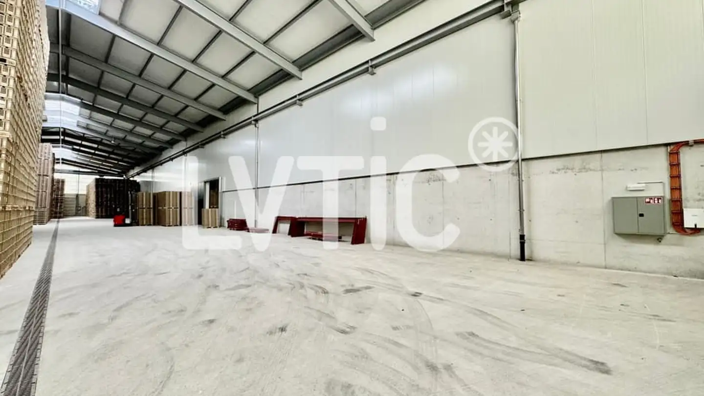 Commerciale in affitto - 1530 Payerne - Photo 2