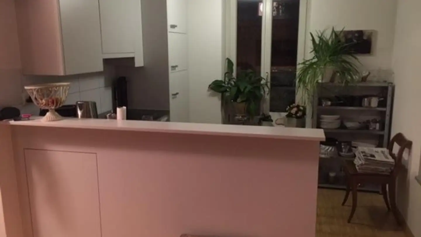 Apartment for rent - Pflanzschulstrasse 33, 8400 Winterthur - Photo 3