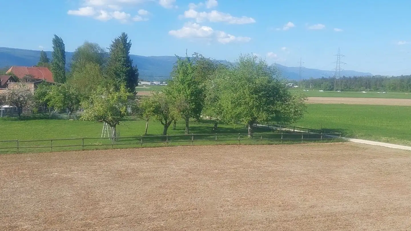 Appartamento in vendita - Giessenweg 4, 3252 Worben - Photo 3