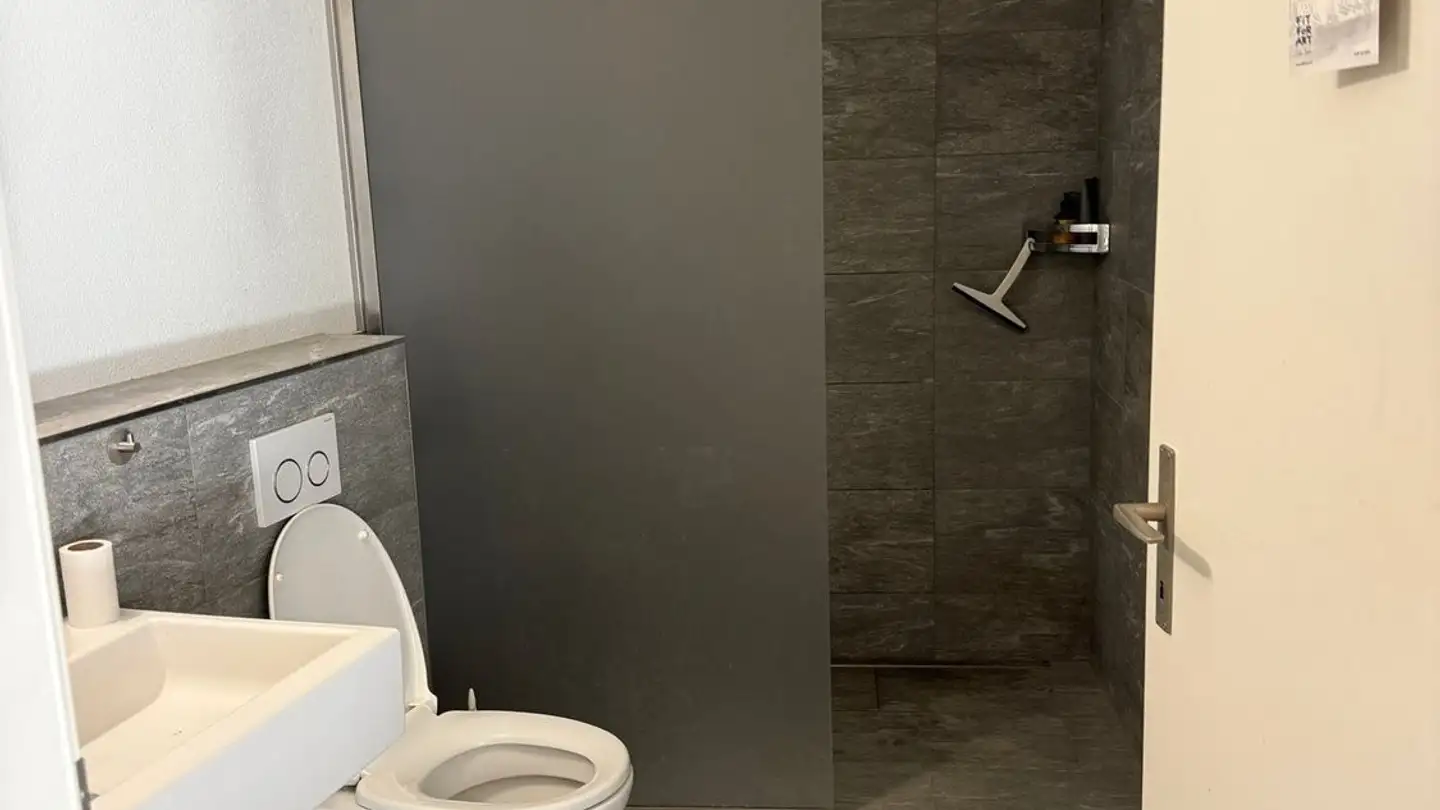 Apartment for rent - 5412 Vogelsang AG - Photo 4