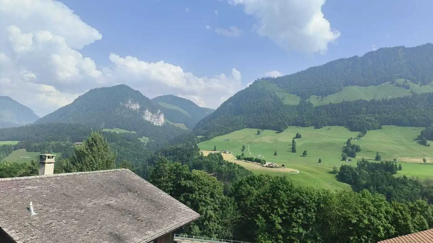 Terreno edificabile in vendita - Route De Biffé, 1653 Châtel-sur-Montsalvens - Foto 3