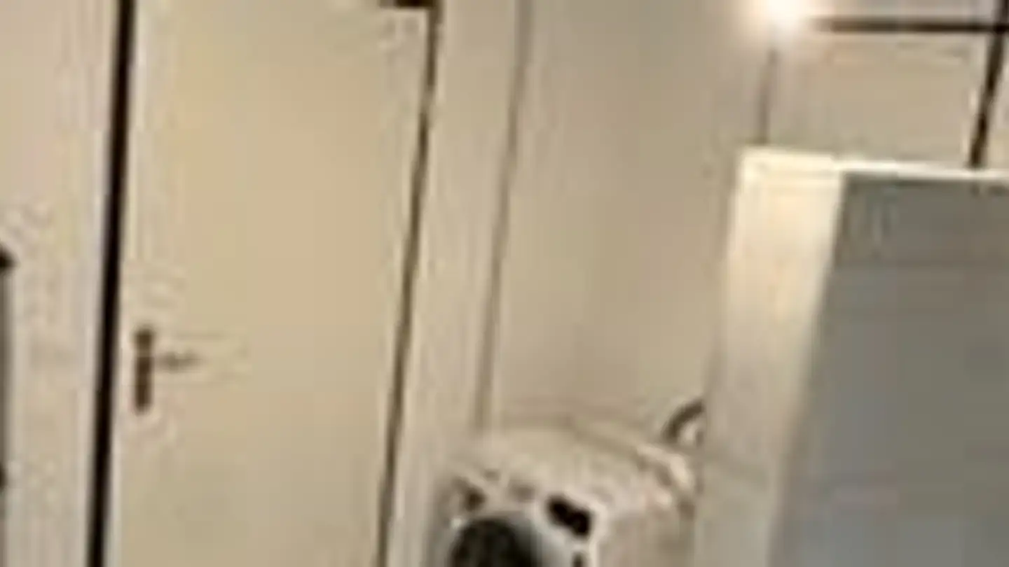 Stanza singola in affitto - Unterer Schlossweg 2, 5113 Holderbank AG - Photo 4