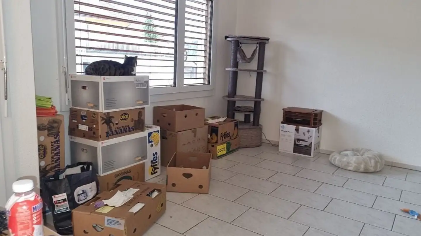 Wohnung mieten - Obergasse 13, 4934 Madiswil - Foto 4