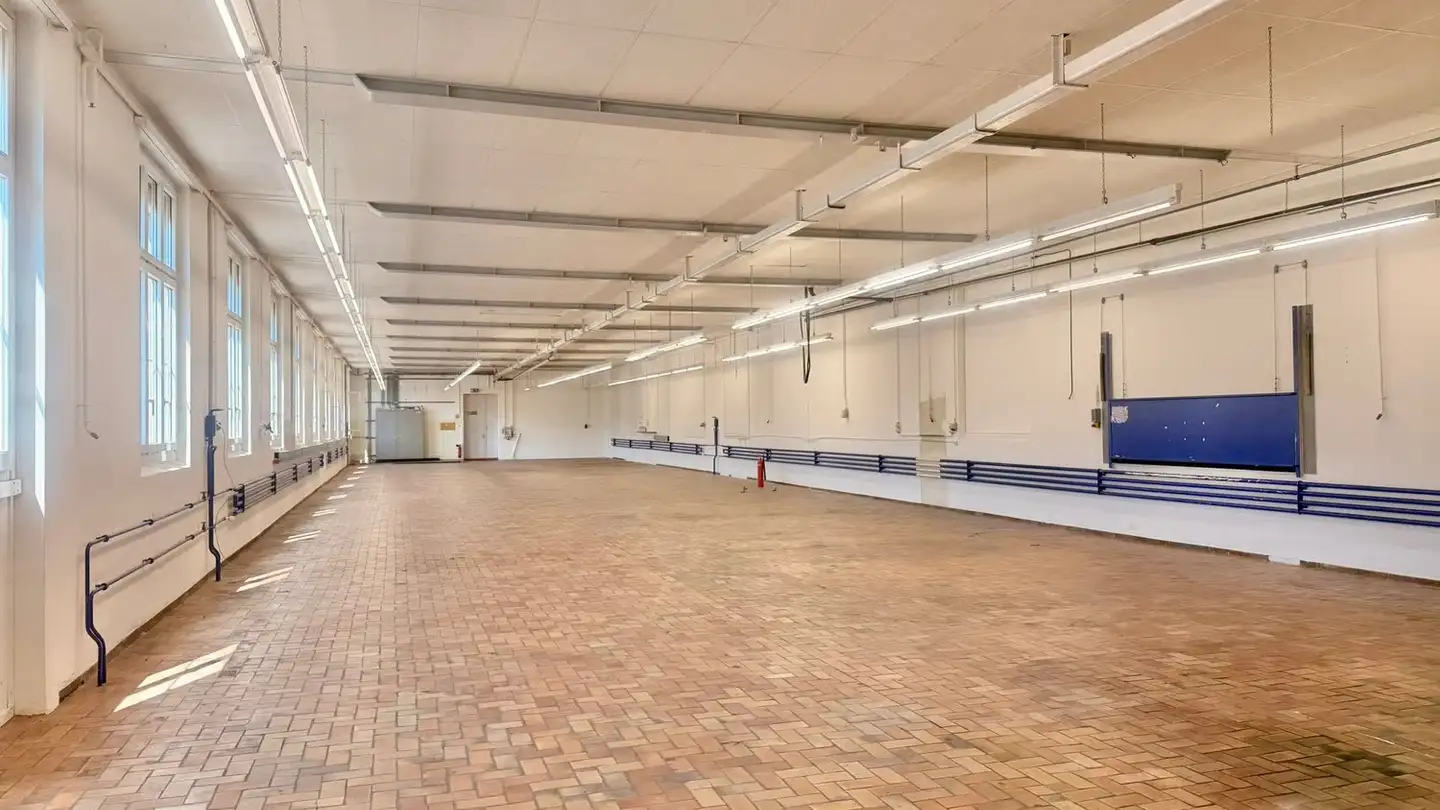 Commercial à louer - Dättlikonerstrasse 5, 8422 Pfungen - Photo 3