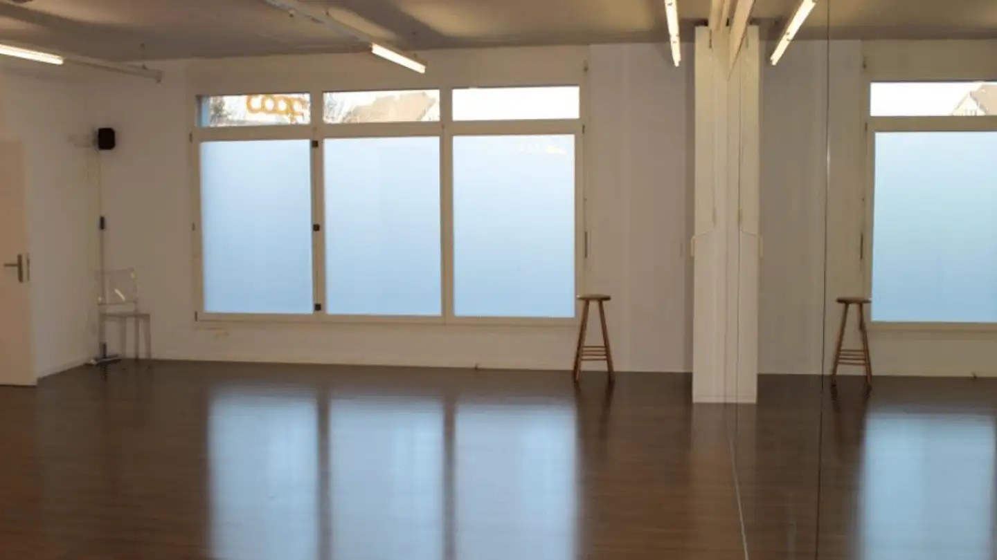 Commerciale in vendita - 8604 Volketswil - Foto 2