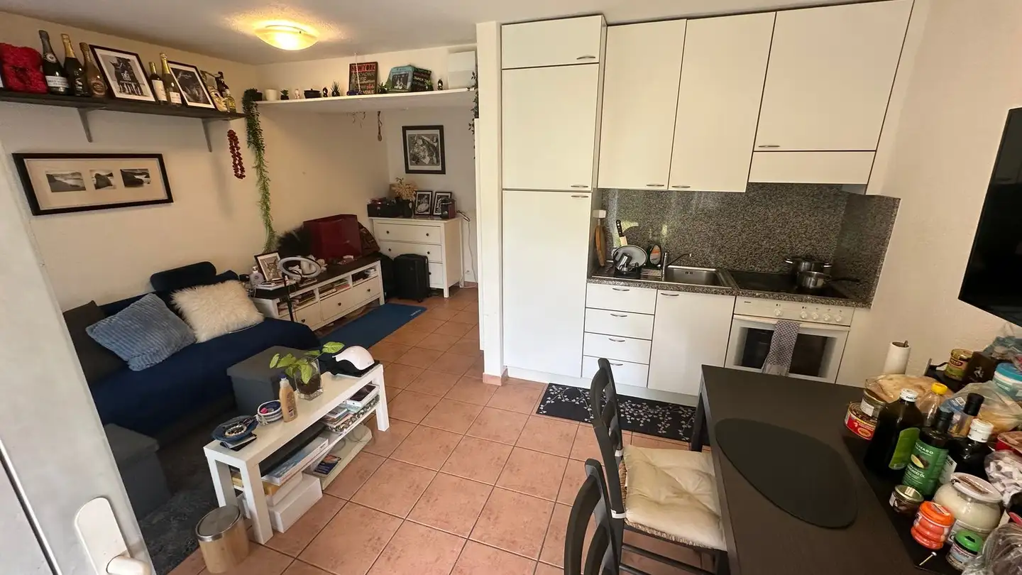 Apartment for rent - 6982 Agno - Photo 3