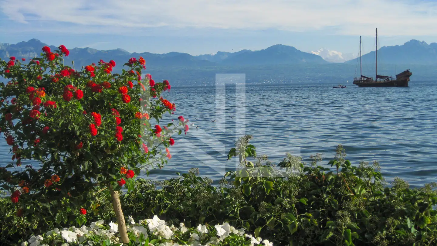 Casa singola in vendita - Rue De Lausanne 24, 1110 Morges - Photo 2