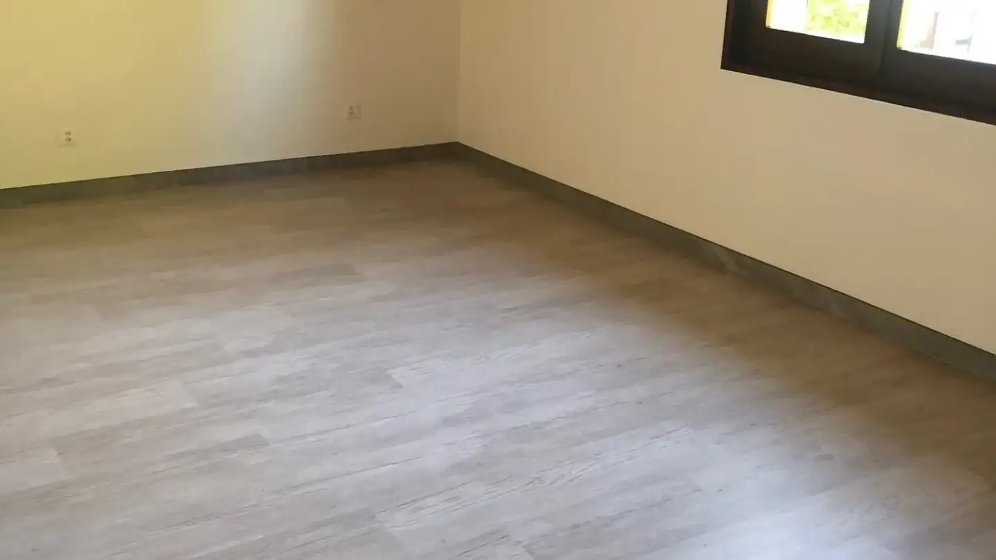 Penthouse for rent - 1196 Gland - Photo 4
