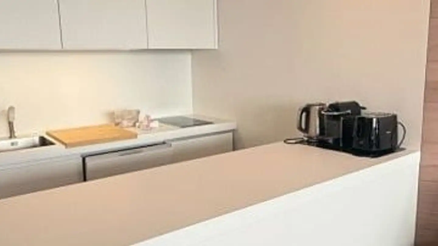 Furnished apartment for rent - Erlachstrasse 28, 3012 Bern - Photo 3