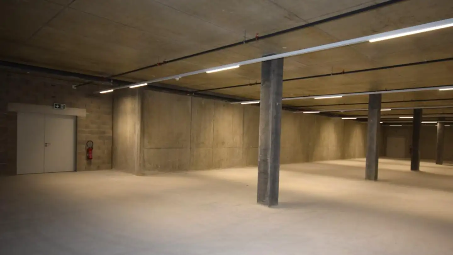 Commerciale in affitto - Route Des Fayards 280, 1290 Versoix - Foto 4