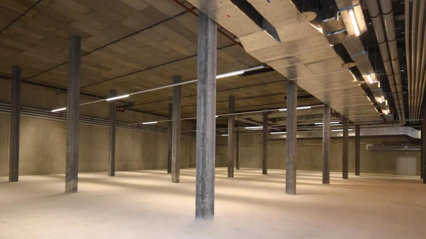 Commerciale in affitto - Route Des Fayards 282, 1290 Versoix - Foto 4