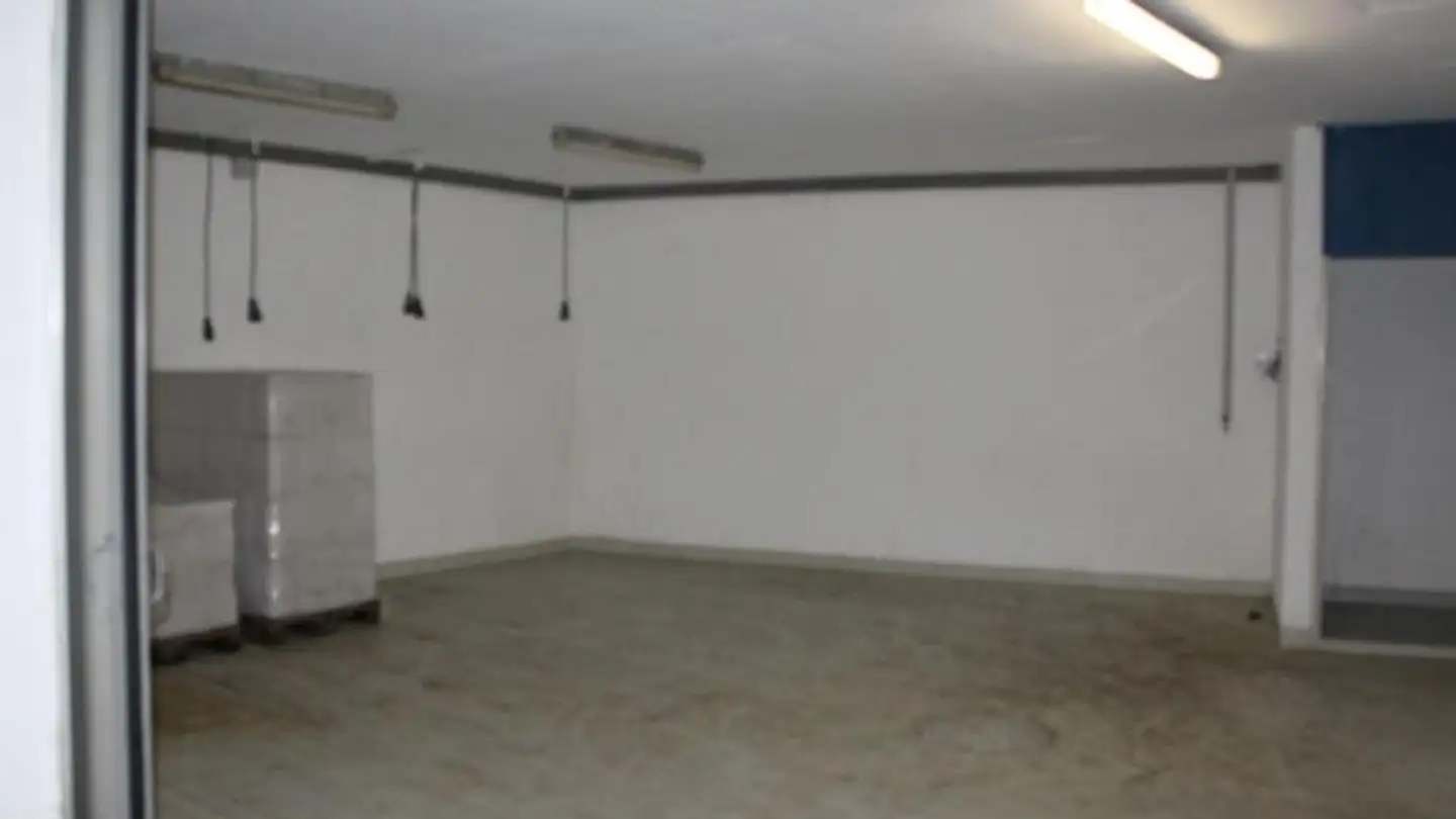 Industrial property for sale - 3970 Salgesch - Photo 3