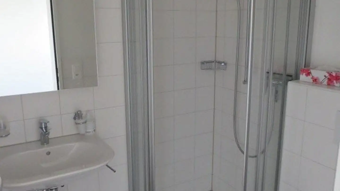 Studio in affitto - Burgfeldermattweg 13, 4123 Allschwil - Photo 4