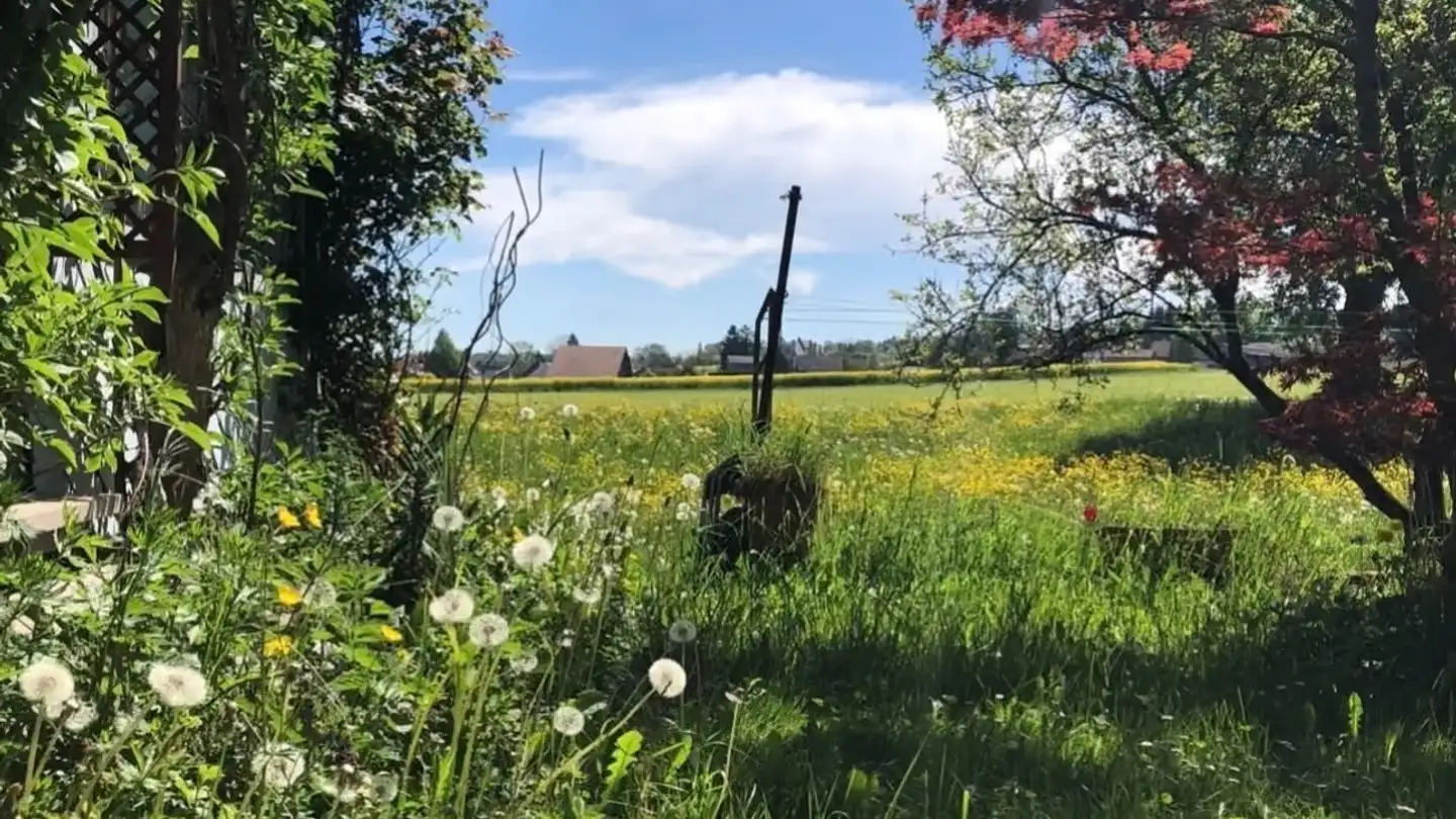 Chambre à louer - Oberwies, 8574 Lengwil - Photo 3