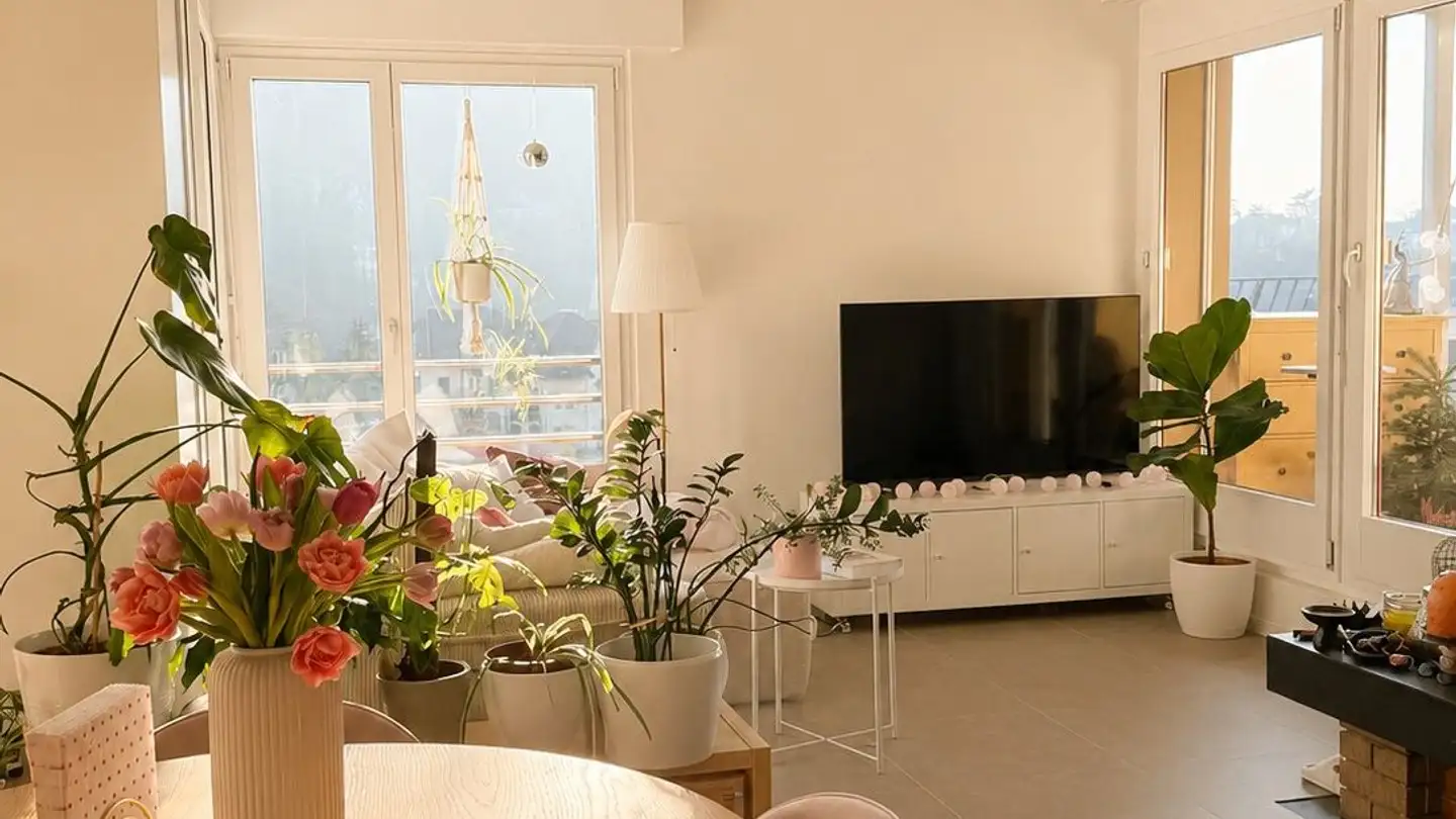 Wohnung mieten - Bahnhofstrasse 4e, 5300 Turgi