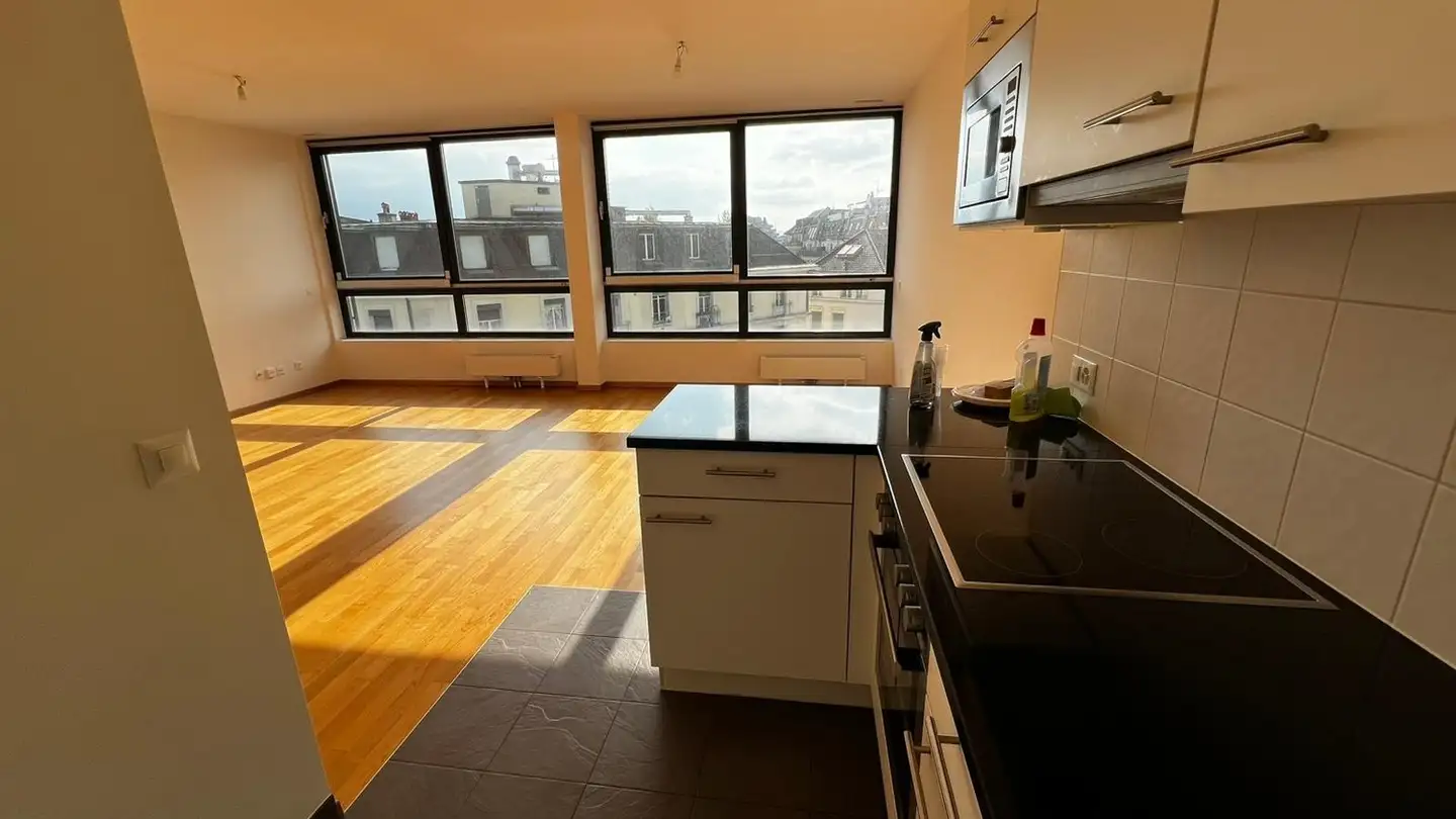 Wohnung mieten - Rue de Lyon, 1203 Genève