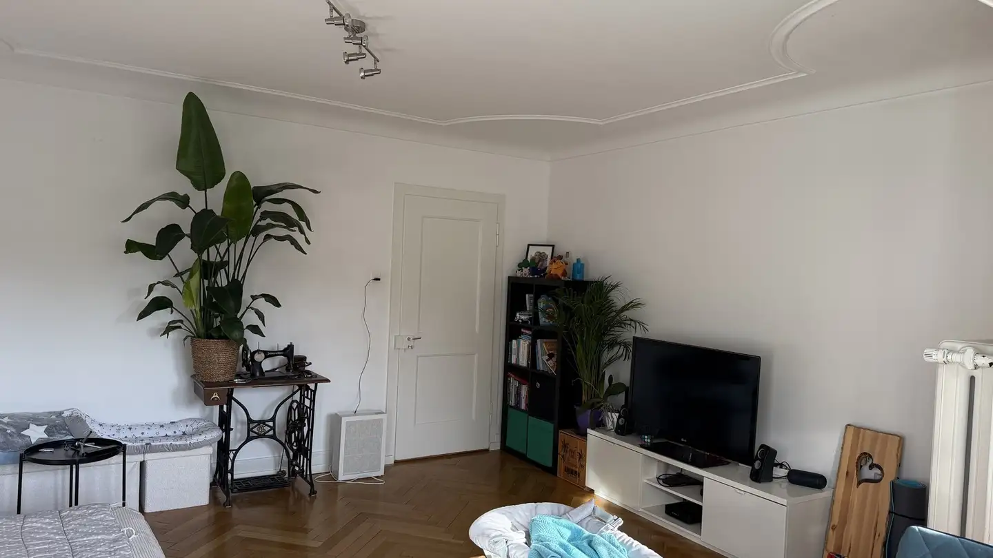 Appartamento in affitto - Üetlibergstrasse 268, 8045 Zürich - Foto 2