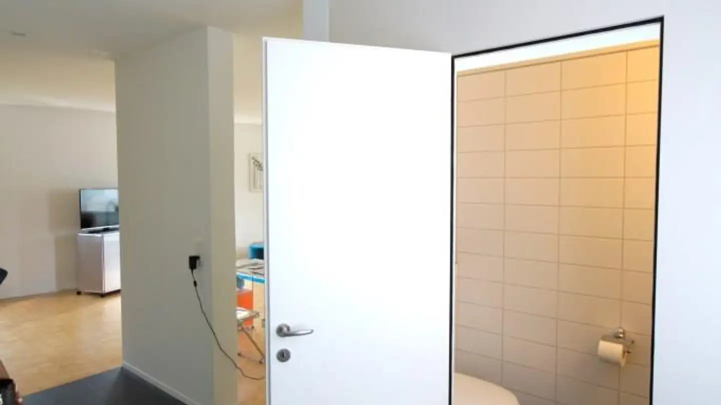 Loft for rent - Seestrasse 100, 8610 Uster - Photo 4