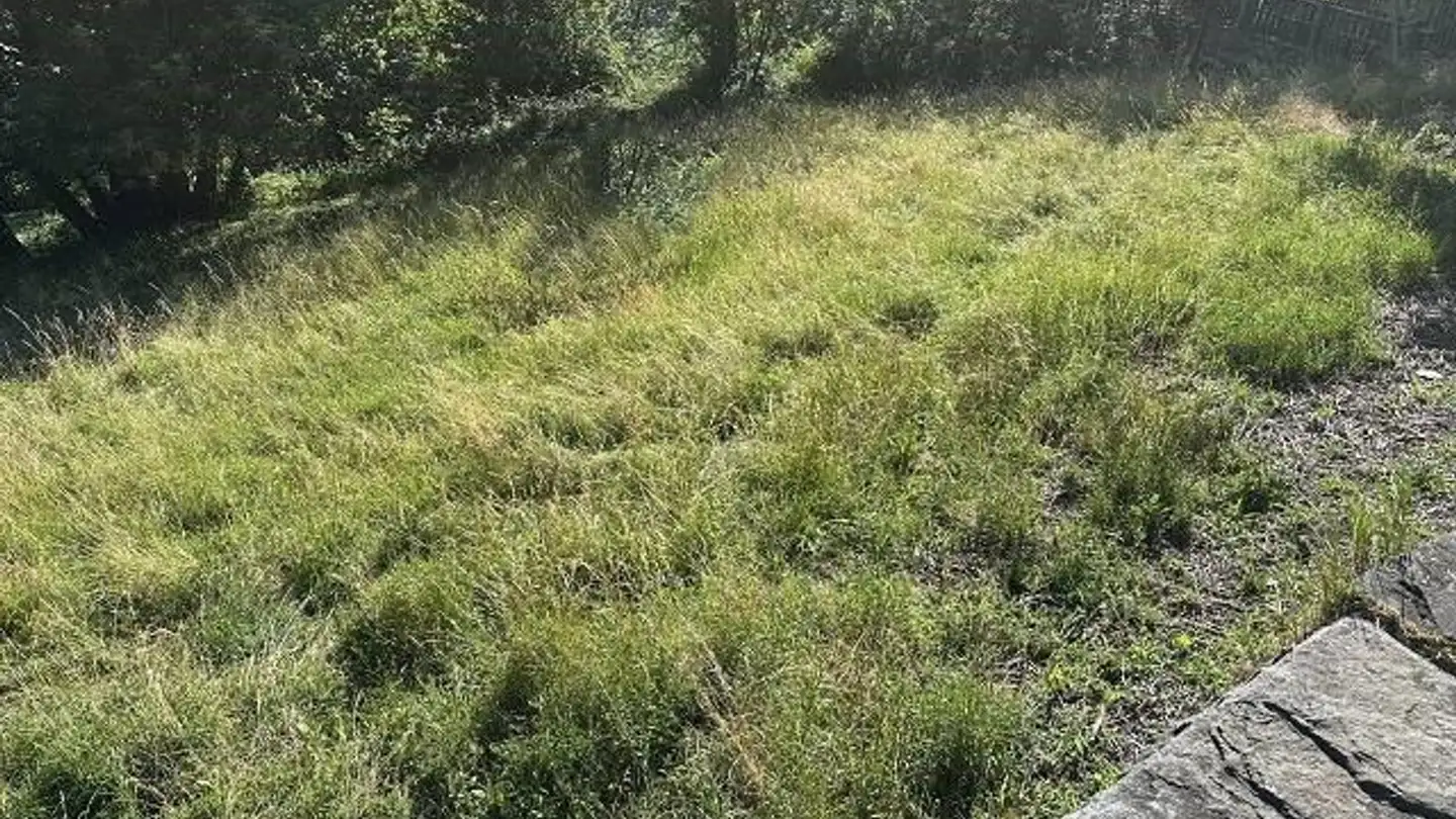 Constructible plot for sale - 6748 Anzonico - Photo 3