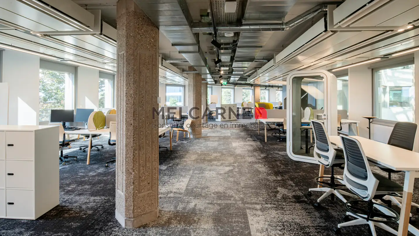 Spazio ufficio in affitto - Chemin Du Pavillon, 1218 Le Grand-Saconnex - Photo 3