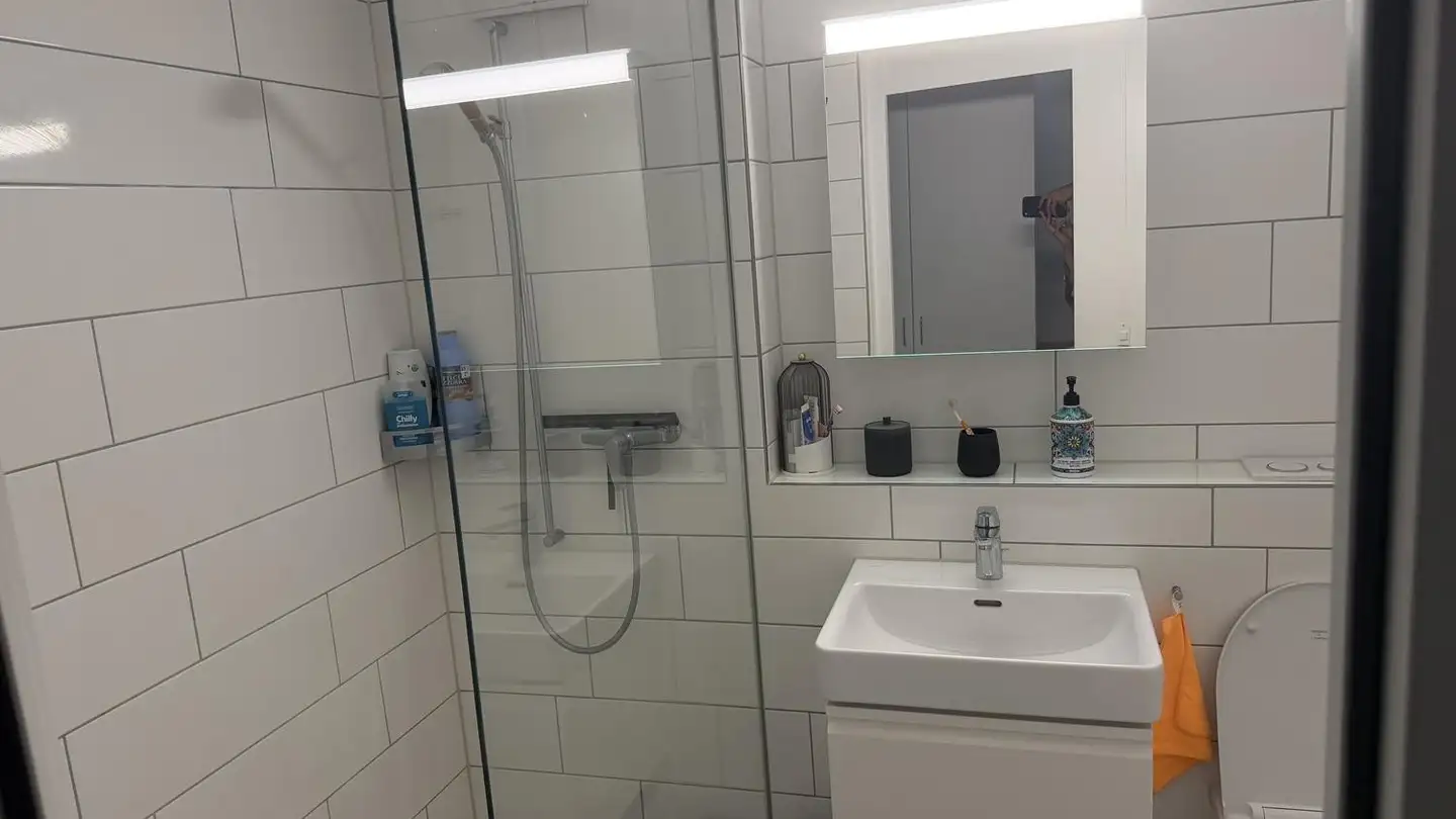 Appartamento ammobiliato in affitto - Wassermatte 2, 8965 Berikon - Foto 4