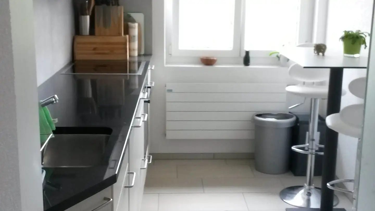 Appartement à louer - Langwiesenstrasse, 8408 Winterthur - Photo 4