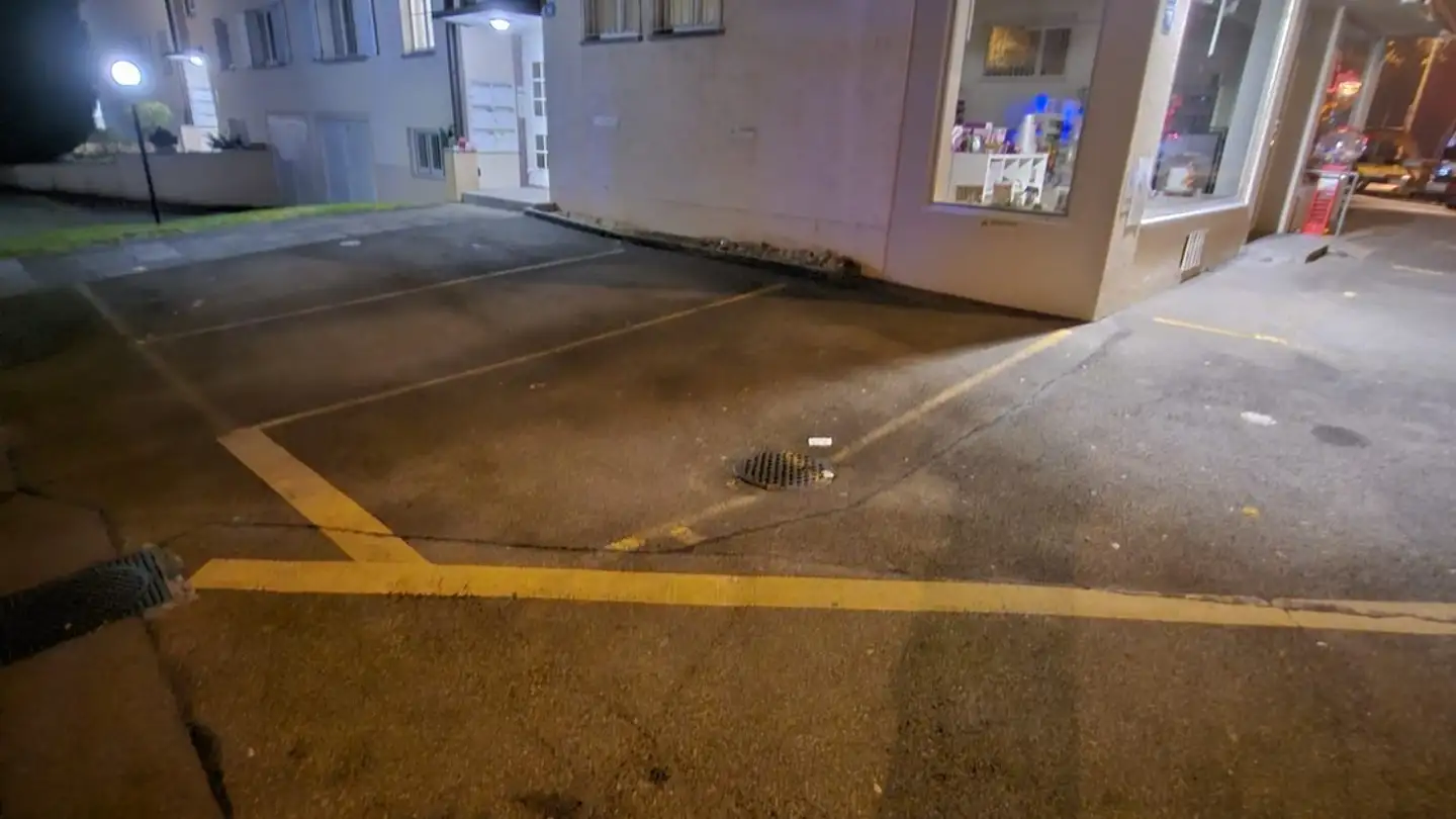 Parcheggio esterno in affitto - Luegislandstrasse 68, 8051 Zürich - Photo 2