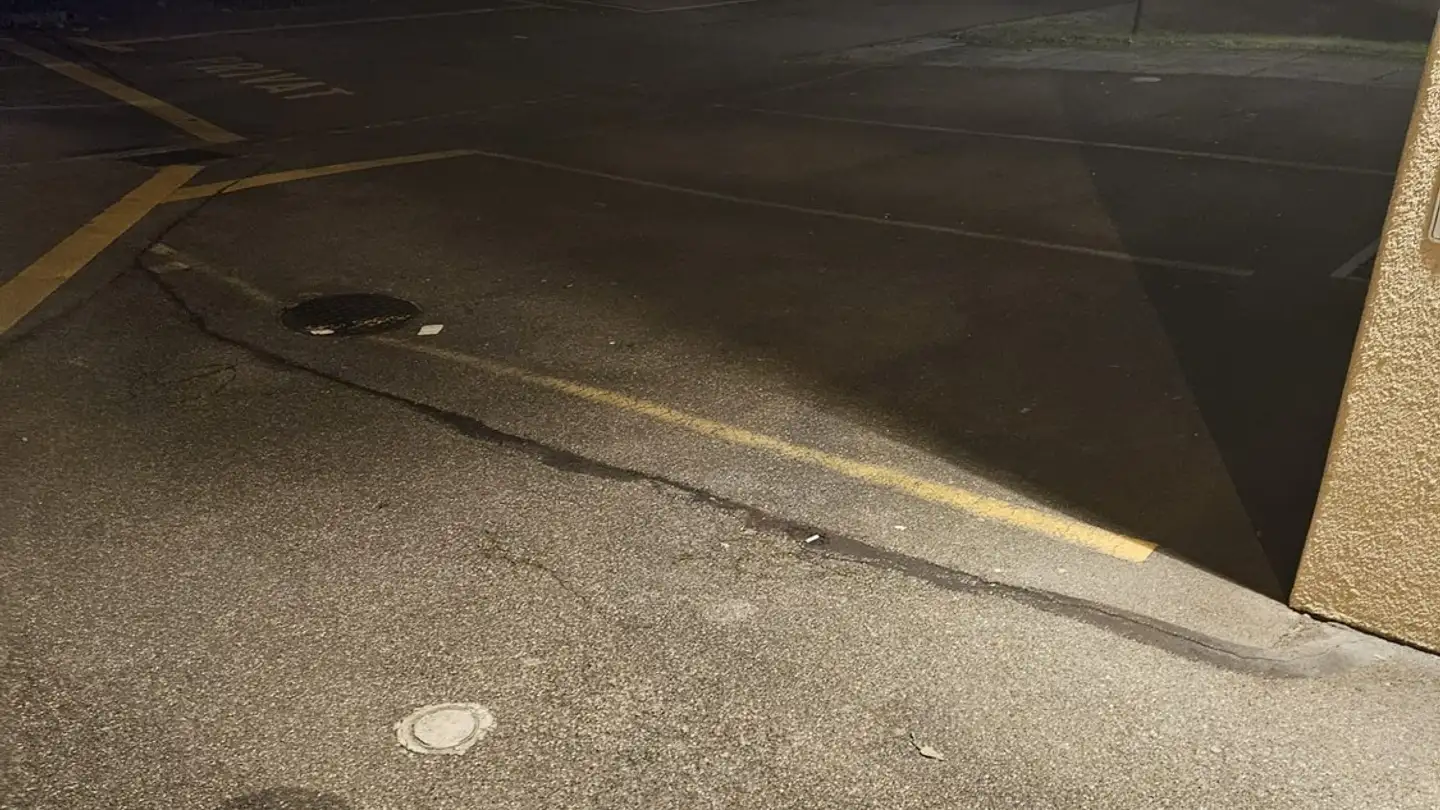 Parcheggio esterno in affitto - Luegislandstrasse 68, 8051 Zürich - Photo 3