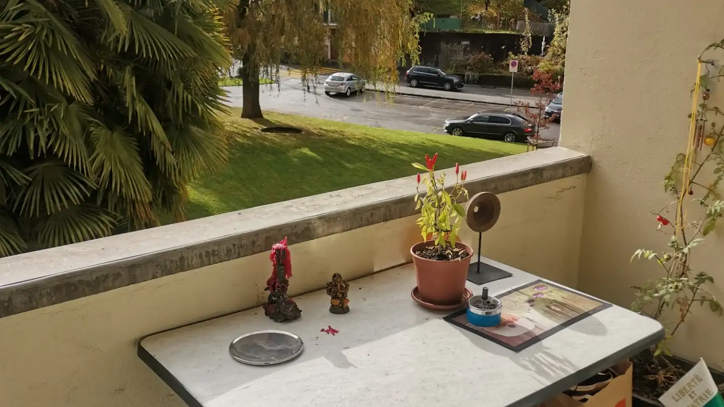 Wohnung mieten - Route De La Saussaz 18, 1816 Chailly-Montreux - Foto 2
