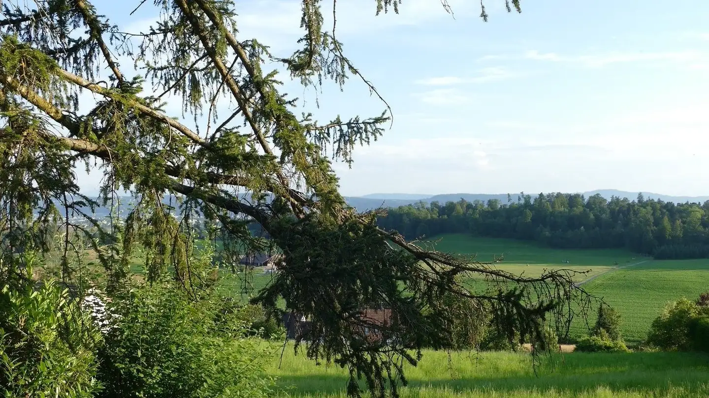 Terreno edificabile in vendita - Rebenstrasse, 8309 Nürensdorf - Photo 4