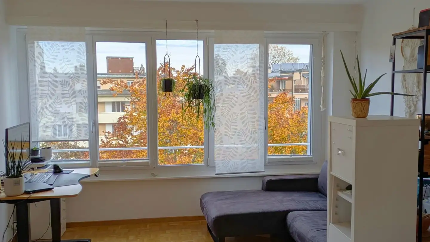 Appartamento in affitto - Avenue De Miremont 13, 1206 Genève