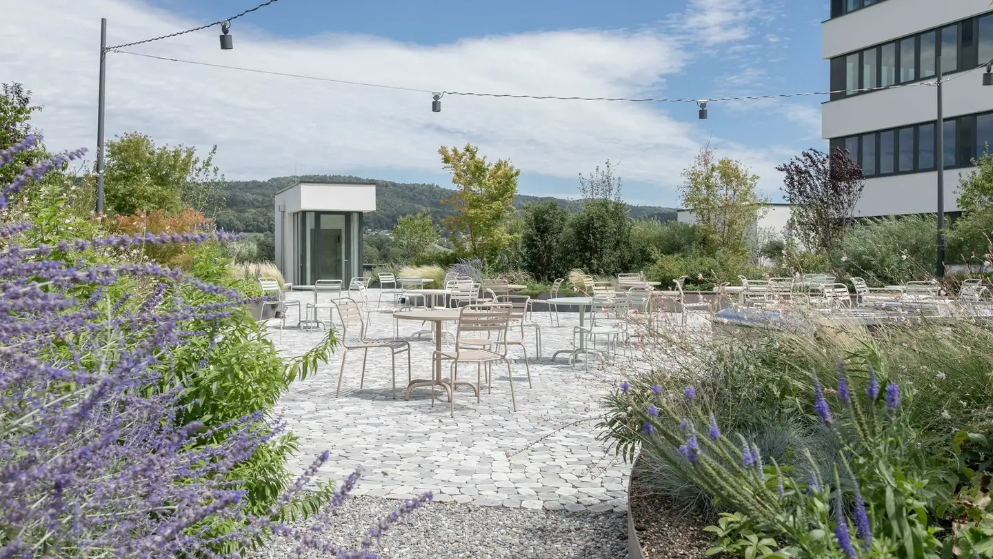 Bürofläche mieten - Pfadackerstrasse 10, 8957 Spreitenbach - Foto 3