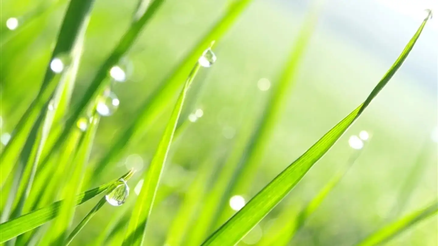 Appartamento in vendita - 3973 Venthône - Foto 2