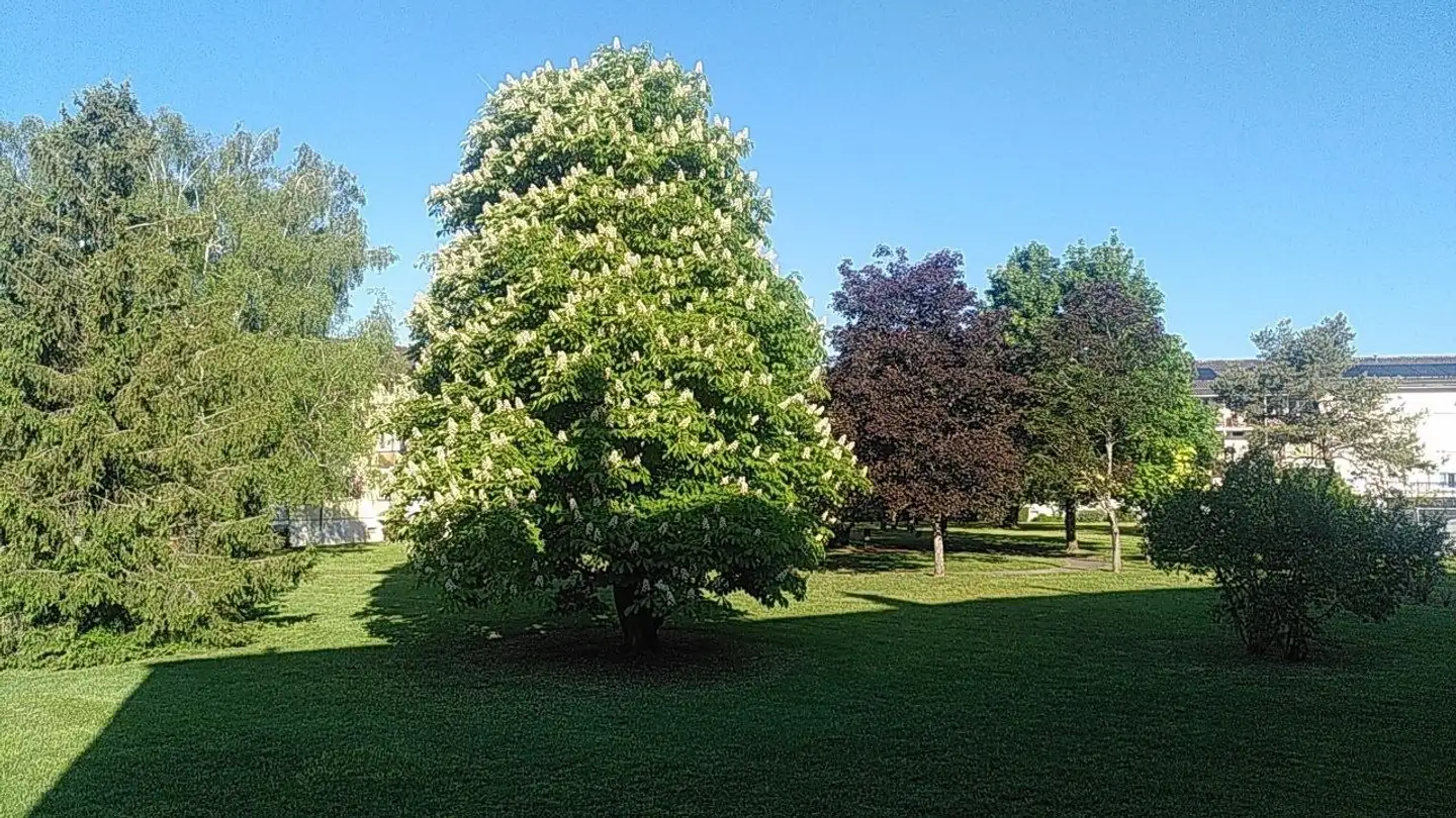 Apartment for rent - Chemin Du Stade, 1252 Meinier
