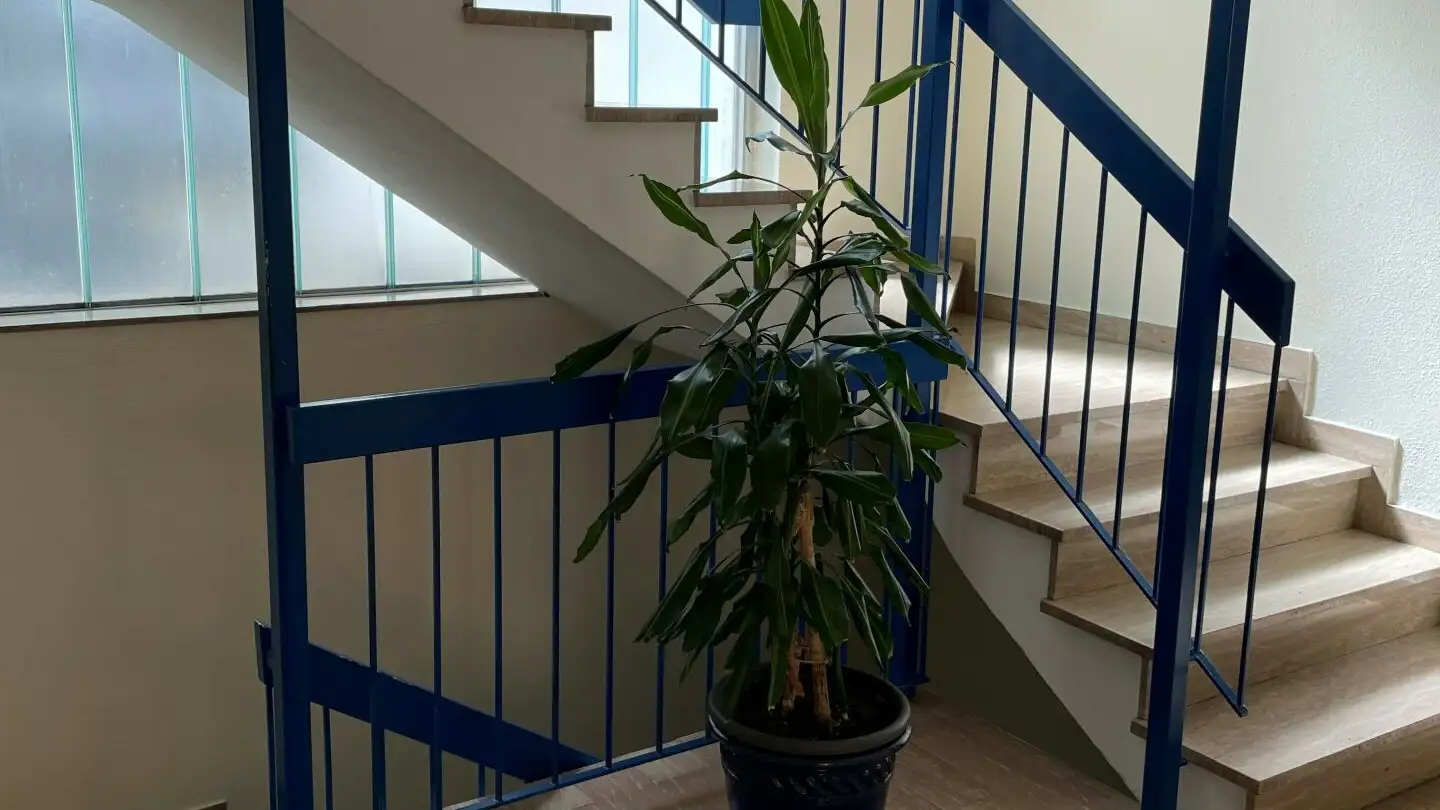 Immeuble résidentiel à vendre - Via Giovanni Varesi, 6600 Locarno - Photo 3