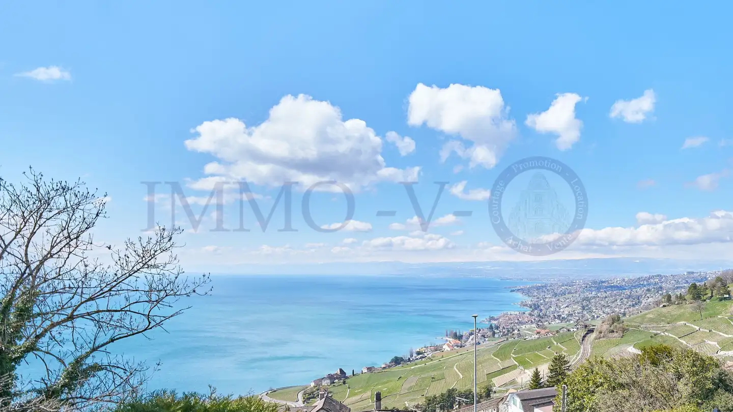 Wohnung mieten - 1091 Grandvaux - Foto 3