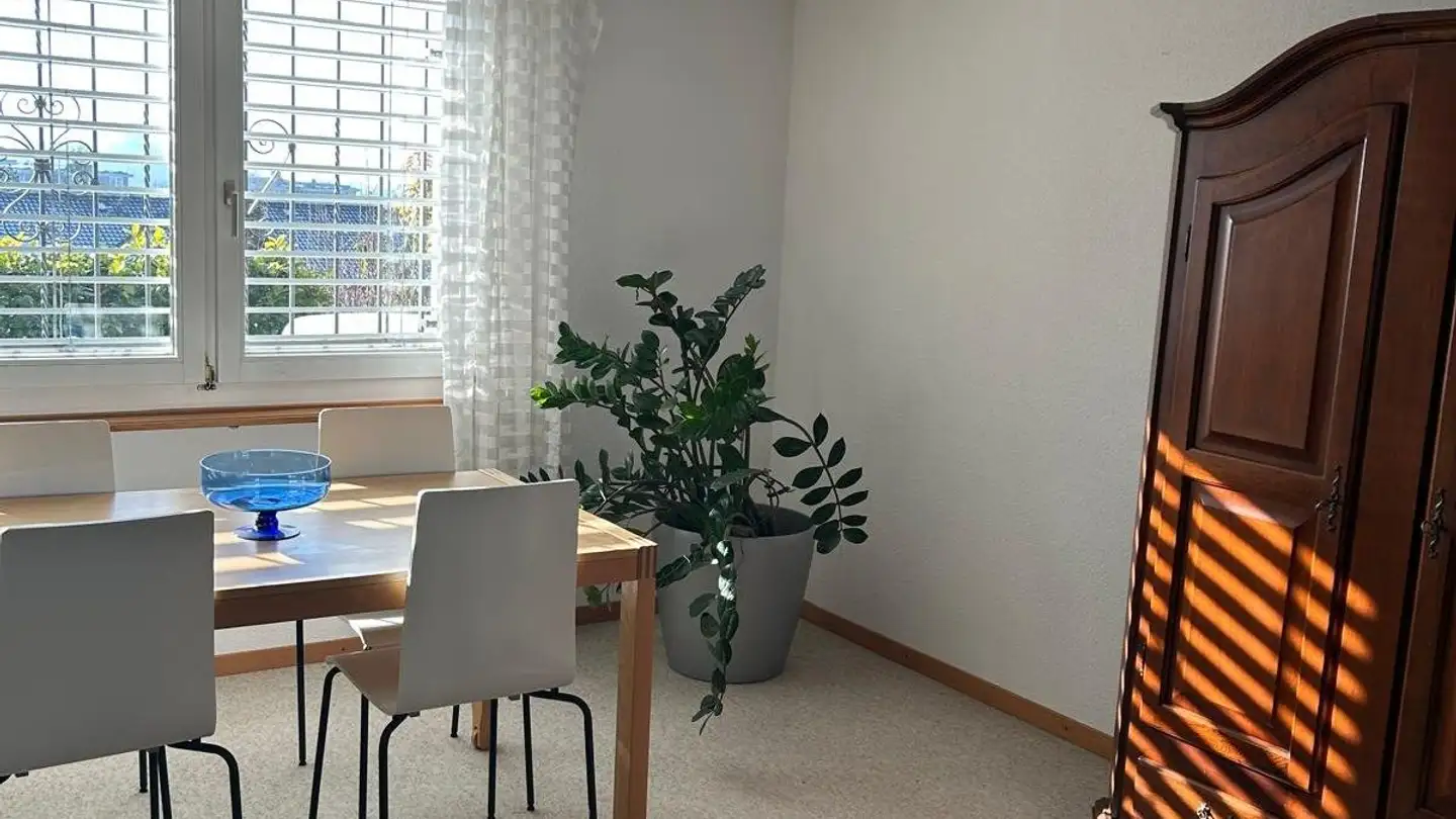 Furnished apartment for rent - 8610 Uster - Photo 4