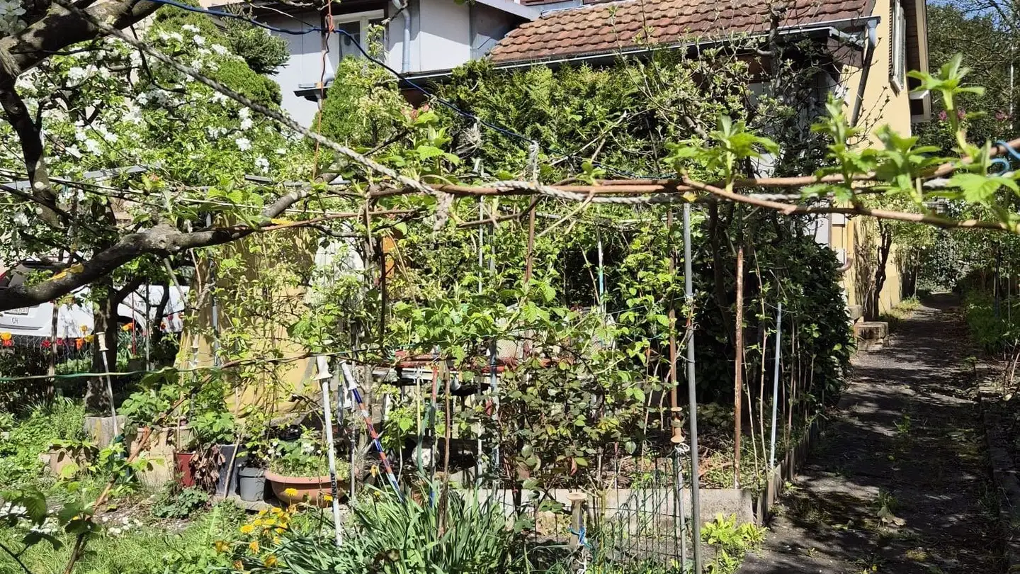 Maison individuelle à vendre - Hausmattrain 10, 4600 Olten - Photo 3