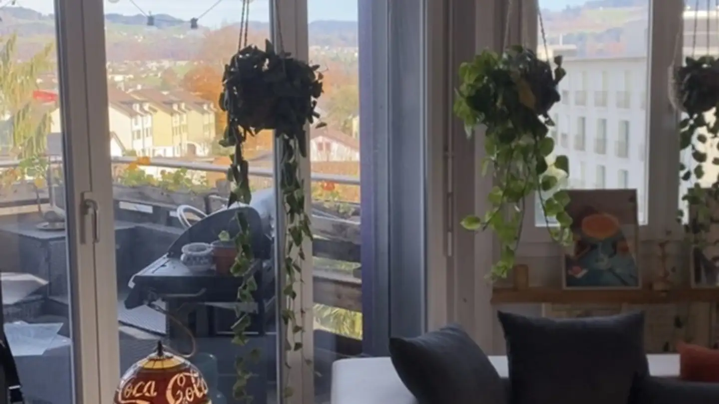 Appartamento ammobiliato in affitto - Schöneichstrasse 42a, 8620 Wetzikon ZH - Photo 2