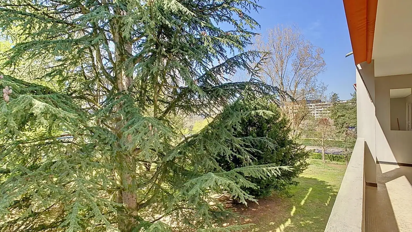 Appartamento in affitto - Avenue Tronchet, 1226 Thônex