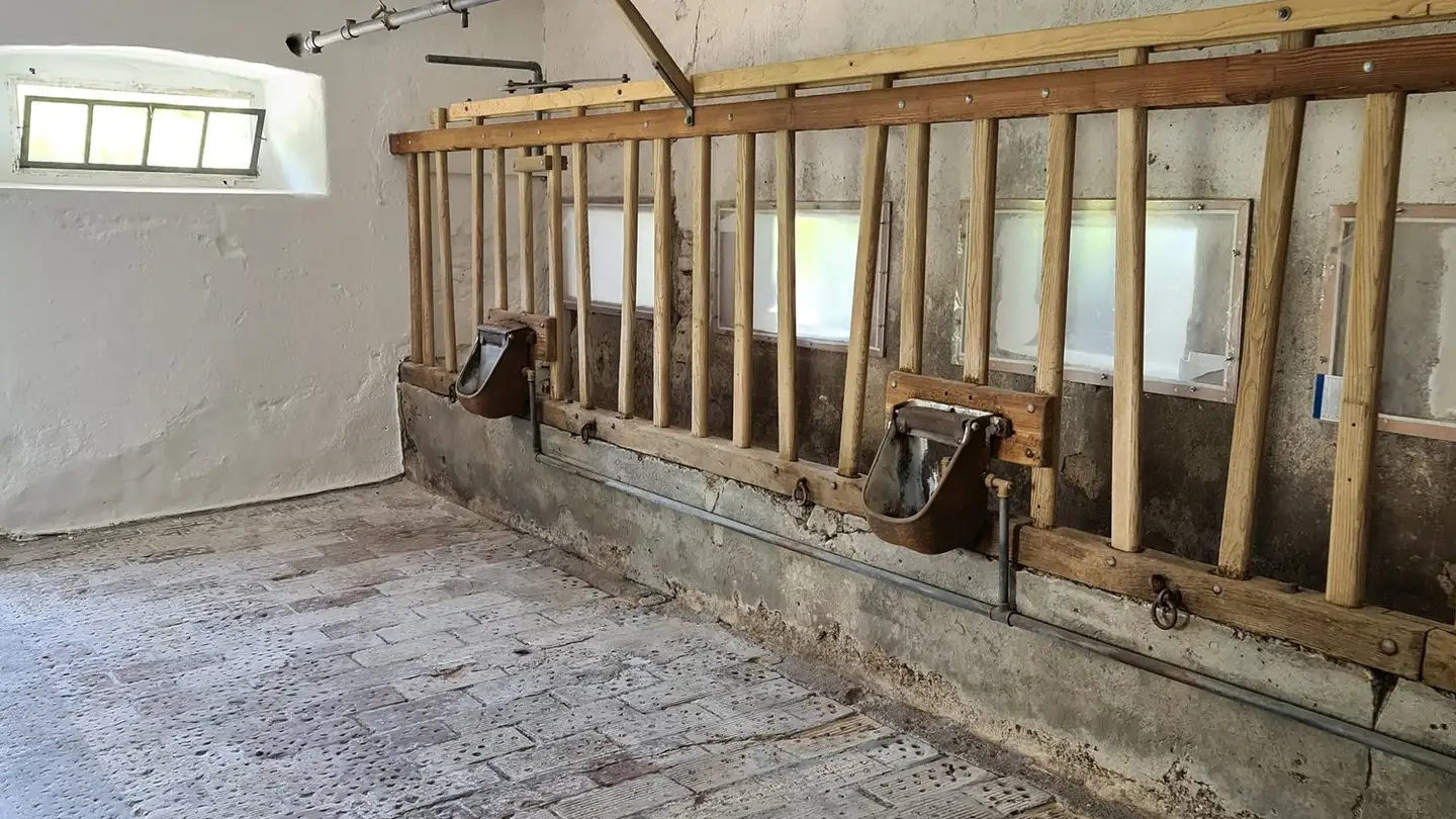 Storage space for rent - 8617 Mönchaltorf - Photo 3