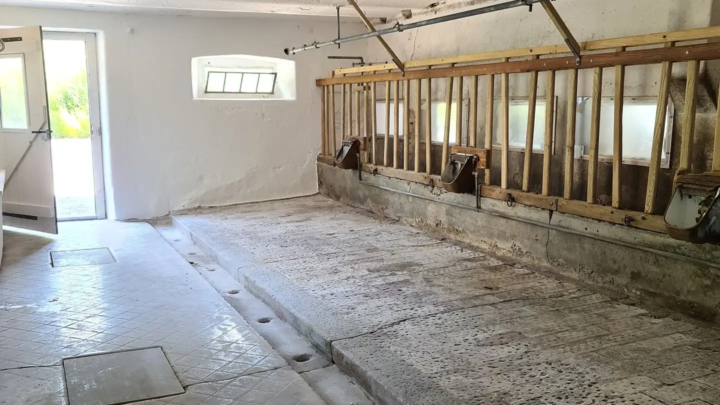 Storage space for rent - 8617 Mönchaltorf - Photo 4