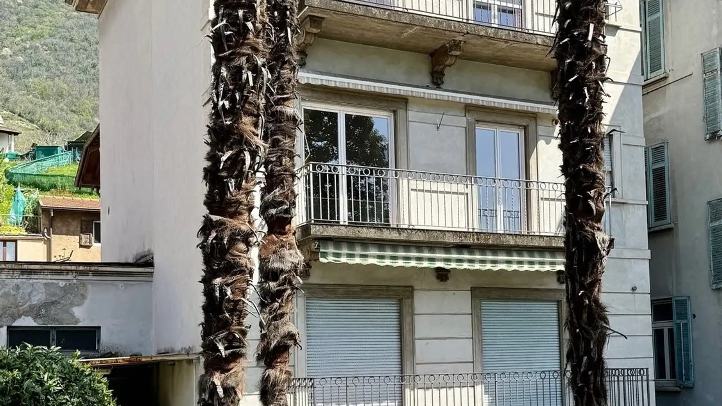 Appartamento in affitto - Via Pizzamiglio 1, 6833 Vacallo - Photo 2