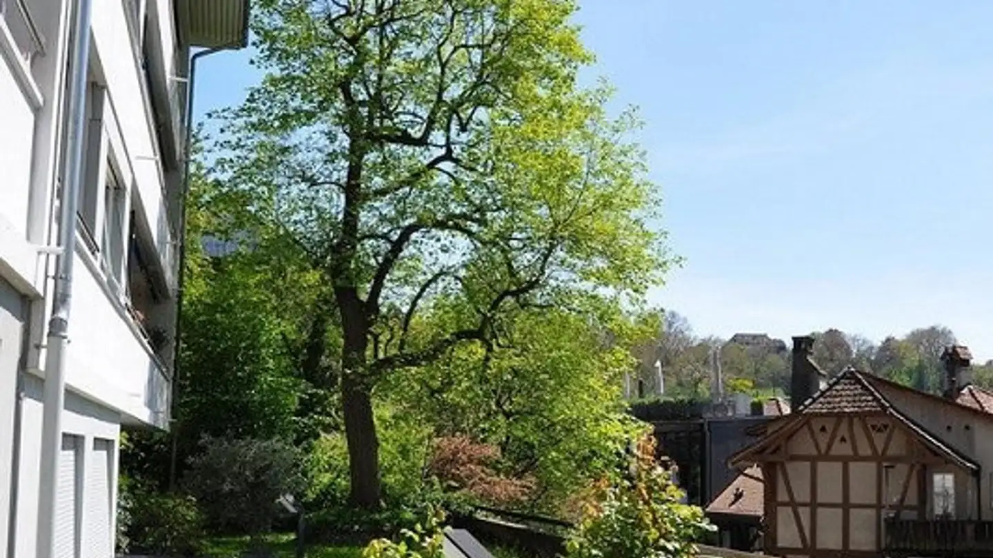 Apartment for rent - Altenbergstrasse 18, 3013 Bern