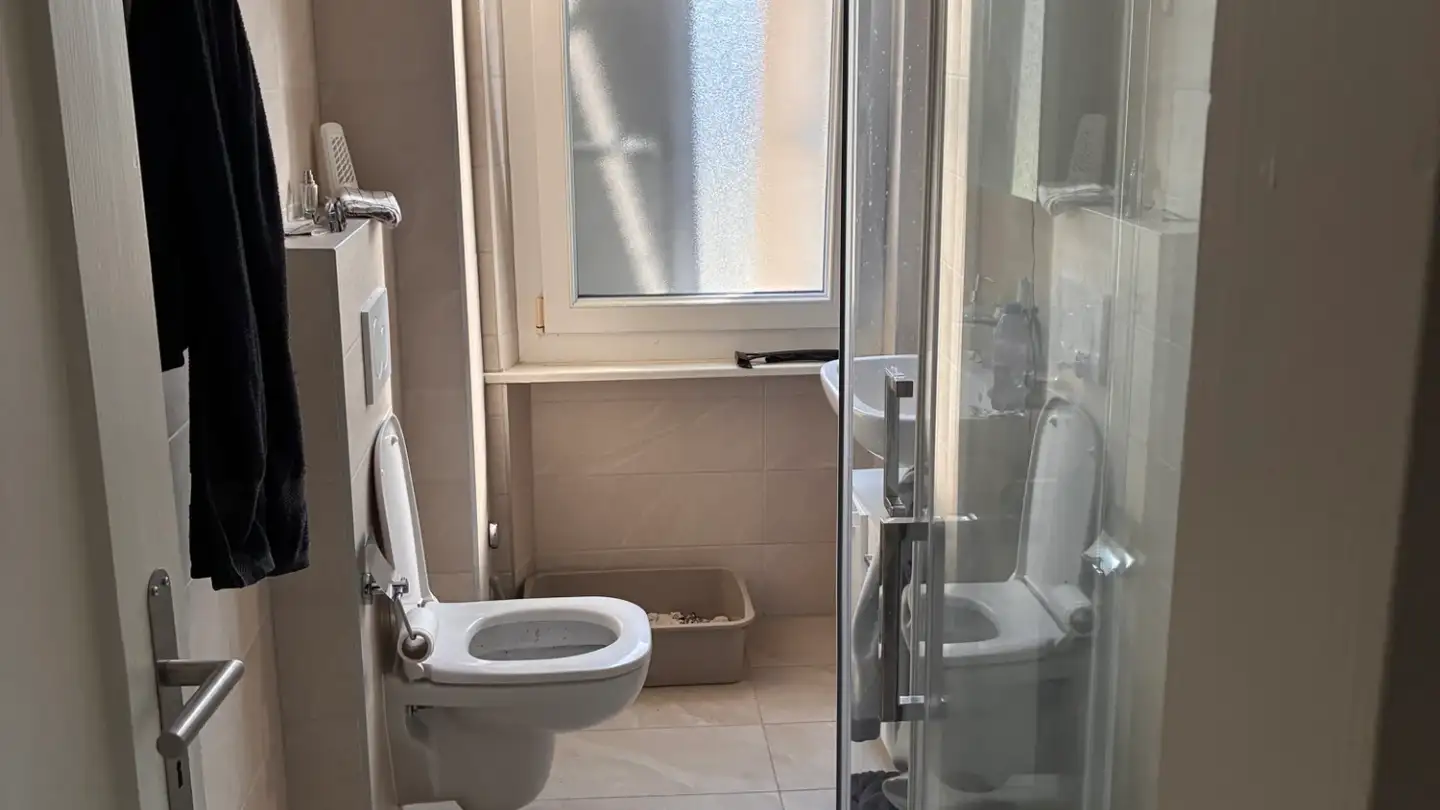 Wohnung mieten - Via Camporello 5, 6517 Arbedo - Foto 2