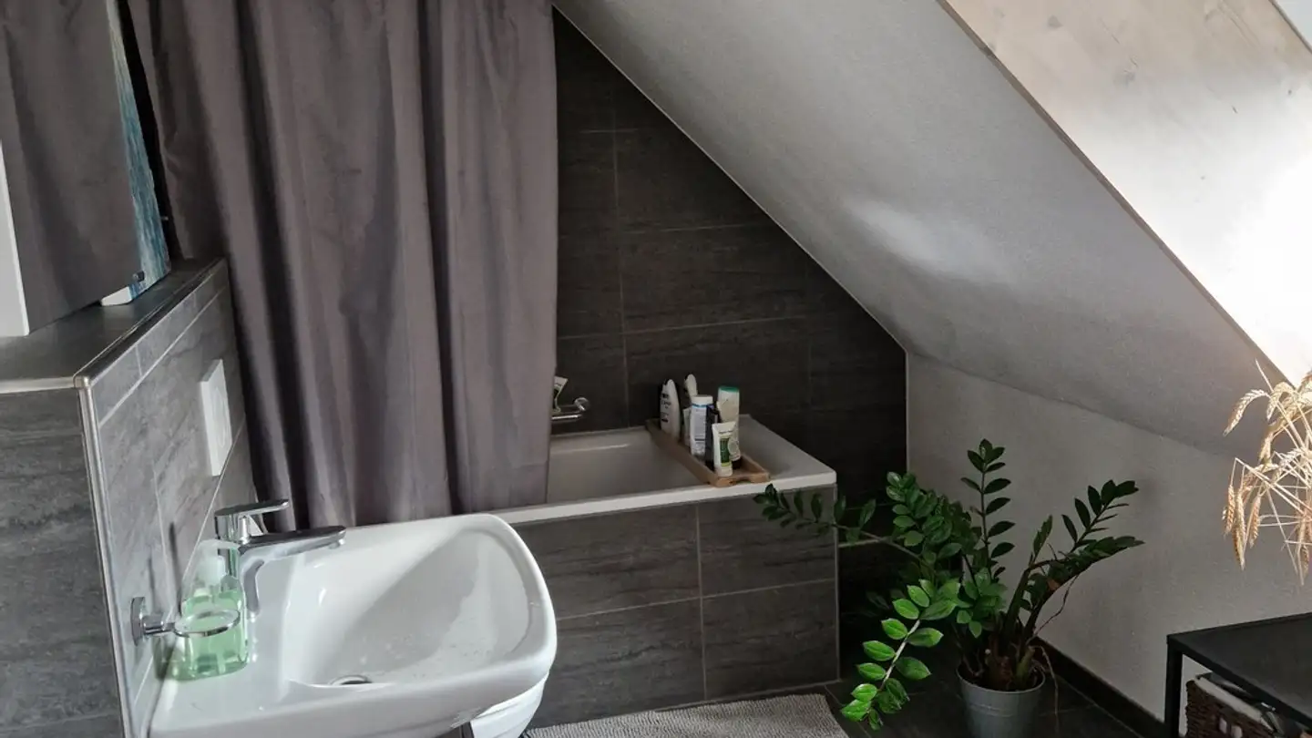 Appartement à louer - Eichbühlstrasse 62, 8004 Zürich - Photo 3