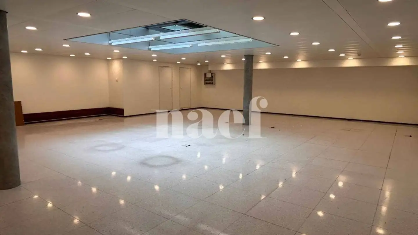 Office space for rent - Avenue Perdtemps 23, 1260 Nyon