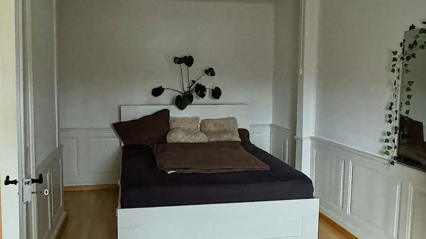 Furnished apartment for rent - Sankt Jakob-Strasse, 9000 St. Gallen - Photo 2